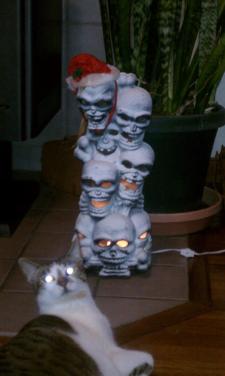 ethel and the skulss